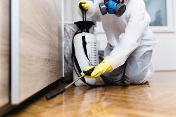 Best Local Pest Control Services  in Spencer, IA