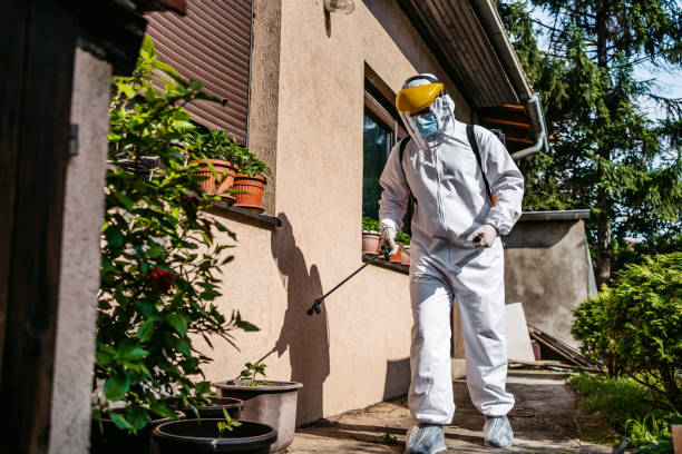 Best Pest Inspection Near Me  in Spencer, IA