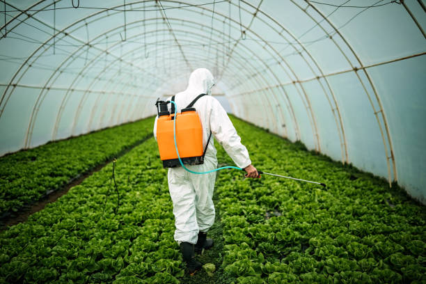 Best Best Pest Control Companies  in Spencer, IA