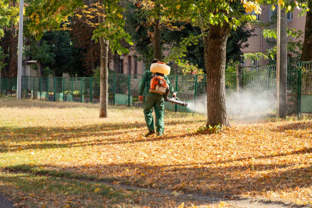Best Emergency Pest Control  in Spencer, IA