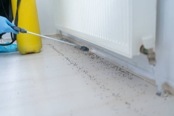 Pest Control Cost in Spencer, IA